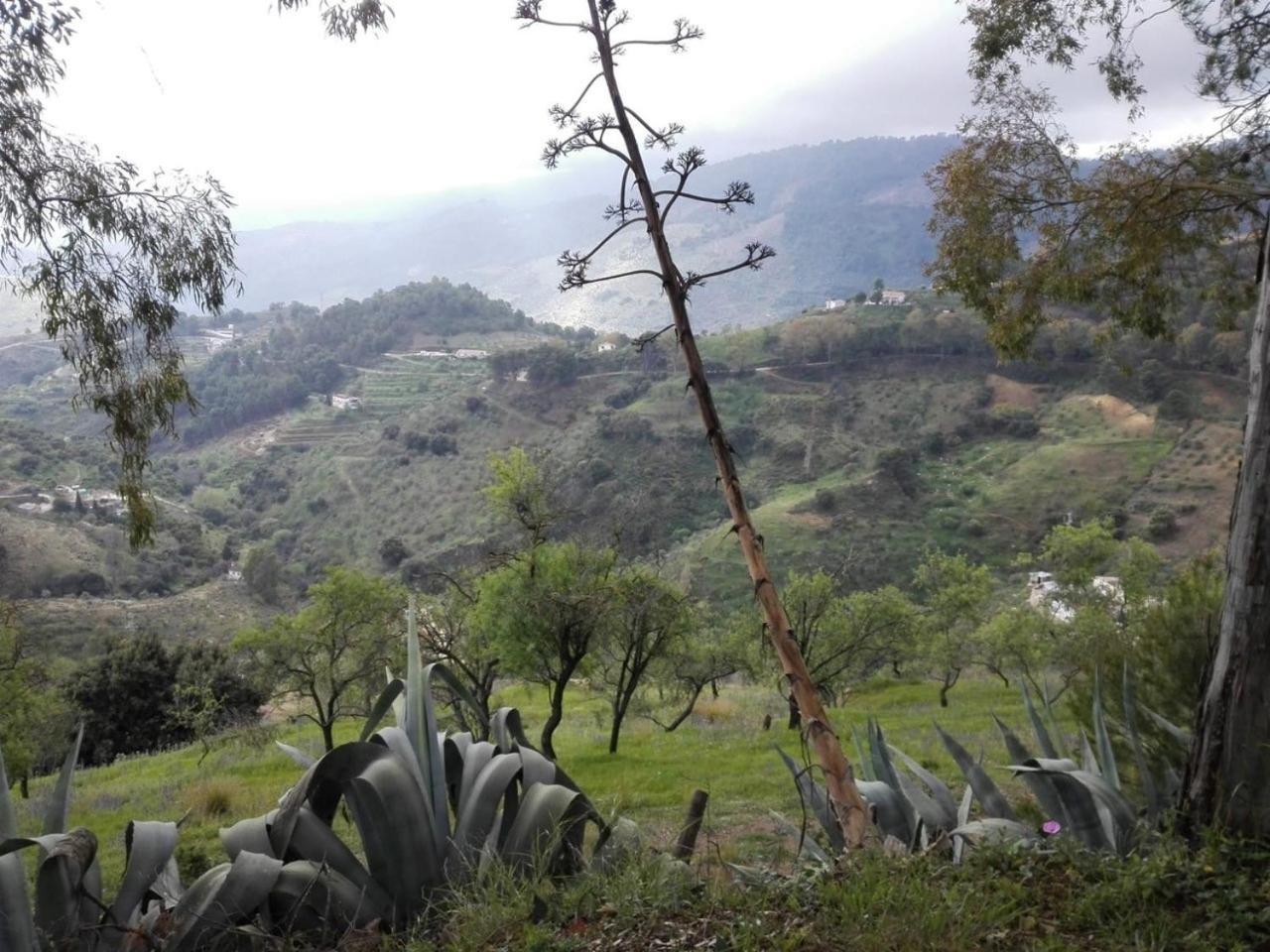 Chalet La Pura Vida Yunquera